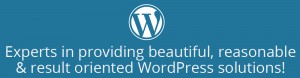 Experts in providing beautiful, reasonable & result oriented WordPress solutions!