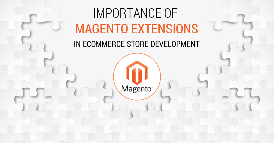 Importance of Magento Extensions in Ecommerce Store Development